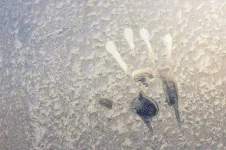 8-handprint-e1422396620272.webp 8-handprint-e1422396620272.webp