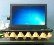 qpdkn.webp