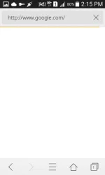image%3A2691.webp