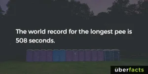 22548873_1755532051146543_5172113788629818887_o.png.webp