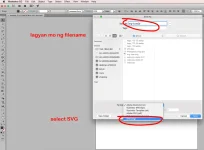 p4.webp