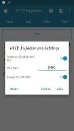 5.webp