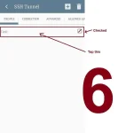 6.webp