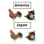 25791120_3474155779579848_6301904096605158081_o.webp
