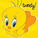 t4.webp
