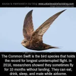 FB_IMG_1514784855241.webp FB_IMG_1514784855241.webp
