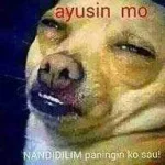 memes.webp