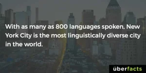 26173212_1837871259579288_7148419766401023745_o.png.webp