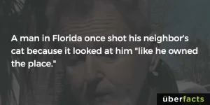 26198144_1840146769351737_6302305519599327428_o.png.webp