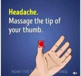 FB_IMG_1516014492210.webp