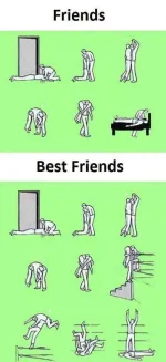 FB_IMG_1516055032238.webp