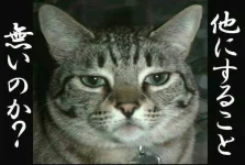 neko.webp