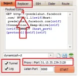 v2.webp v2.webp
