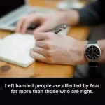 27336555_2016532641895134_8453620868978493932_n.png.webp