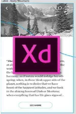 adobe-xd-main.webp