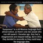 FB_IMG_1517605847270.webp