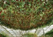 images (1).webp