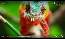 Screenshot_2018-02-10-08-26-34.webp
