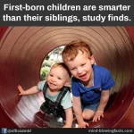 27657677_1596853543745560_2726113985067389381_n.webp