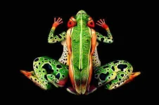 892754_561428453877456_1479157682_o.webp