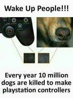 FB_IMG_1518938712907.webp