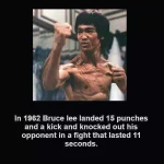 FB_IMG_1518950735224.webp