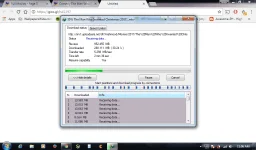 1.webp