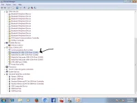 Picture1.webp