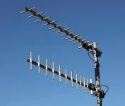 yagi.webp