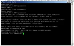 111.webp