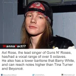FB_IMG_1522888126691.webp