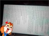TMPDOODLE1523606662345.webp