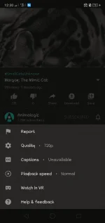 Screenshot_2020-10-17-00-30-55-93.webp