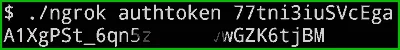 authanticate-ngrok-with-authtoken.webp authanticate-ngrok-with-authtoken.webp