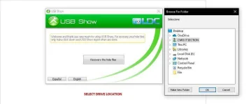 3.webp