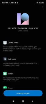 Screenshot_2020-10-30-17-57-40-150_com.android.updater.webp