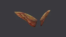 images (2).webp