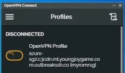 ovpn1.webp