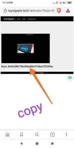 Screenshot_2020-11-06-23-14-32-858_com.brave.browser.jpg