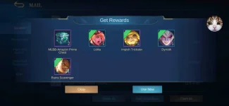 Screenshot_20201107-191155_Mobile Legends Bang Bang.webp