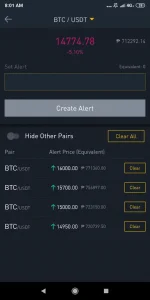 Screenshot_2020-11-08-08-01-38-186_com.binance.dev.png