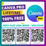 53178.webp 53178.webp