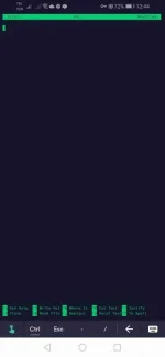 Screenshot_20201116_004426_com.server.auditor.ssh.client.webp