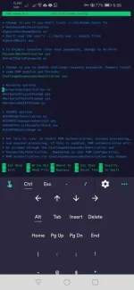 Screenshot_20201121_185607_com.server.auditor.ssh.client.webp