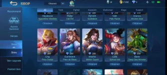 Screenshot_2020-11-22-19-24-43-324_com.mobile.legends.jpg