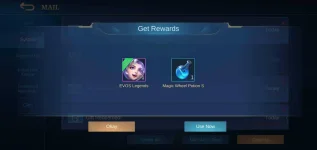 Screenshot_20201123-114854_Mobile Legends Bang Bang.webp
