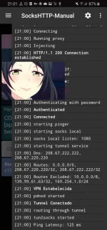 Screenshot_20201203-210135_SocksHTTP-Manual.webp