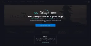 disney.webp