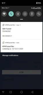 Screenshot_20201207-171740.webp
