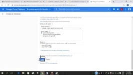 free13.webp